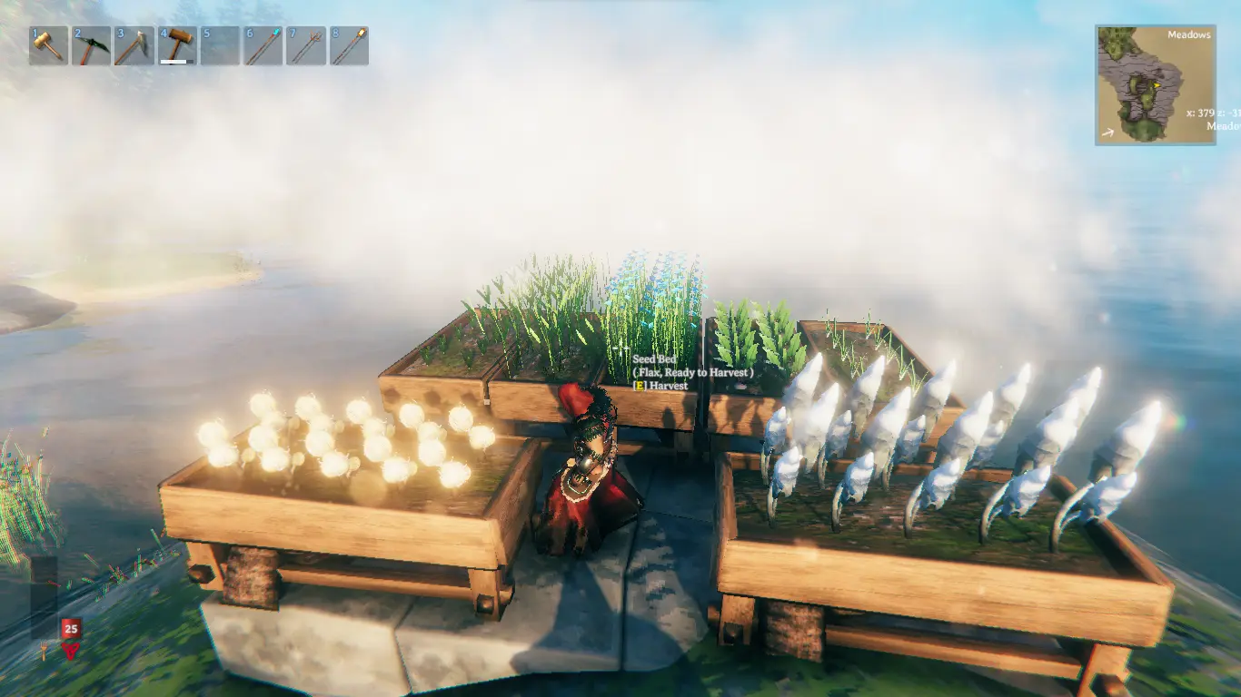 seedbed.png